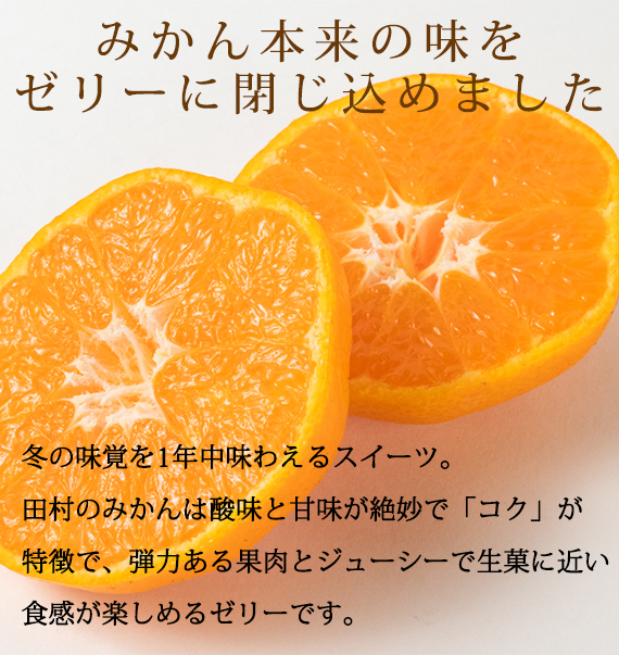 紀州和歌山まるごとみかんゼリー 145g×12個（6個入×2箱） ※2024年10月上旬頃より発送予定