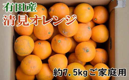【産直】有田産清見オレンジ 約7.5kg（訳あり家庭用サイズおまかせまたは混合） ※2025年2月上旬～3月下旬頃次発送予定（日付指定不可）