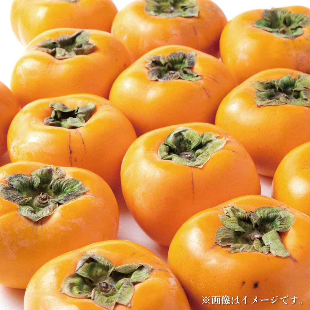 【2024年発送】種なし柿 7kg以上【串本グルメ市場】