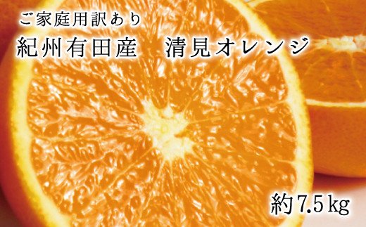 [ご家庭用訳アリ]紀州有田産 清見オレンジ 7.5kg ※2025年3月下旬〜2025年4月中旬頃に順次発送予定(お届け日指定不可) / オレンジ みかん ミカン 蜜柑 柑橘 フルーツ 果物 くだもの 和歌山