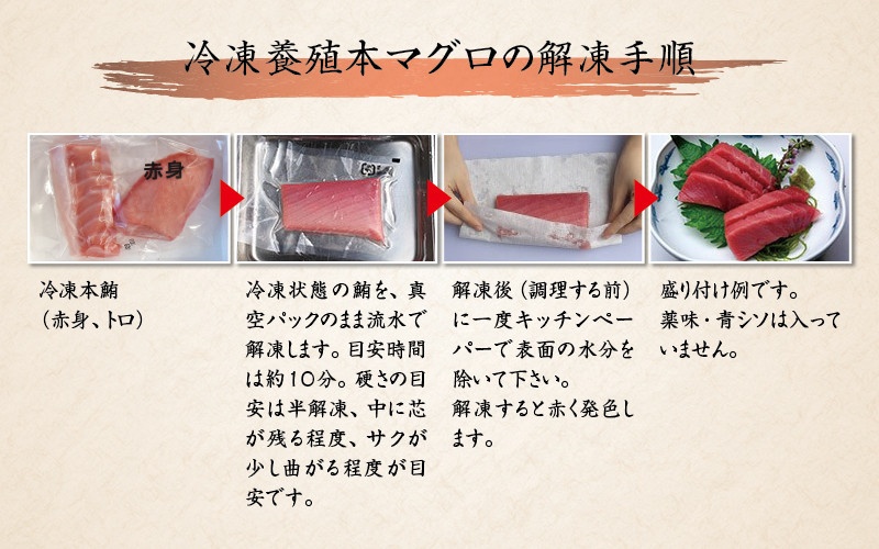 【2週間以内に発送】本マグロ トロ＆赤身セット 1kg（養殖） 濃厚な赤身と高級部位トロの鮪好きにはたまらないセット 【串本町×北山村】 高級 クロマグロ まぐろ マグロ 鮪 中トロ 赤身 柵 マグロ中トロ 刺身