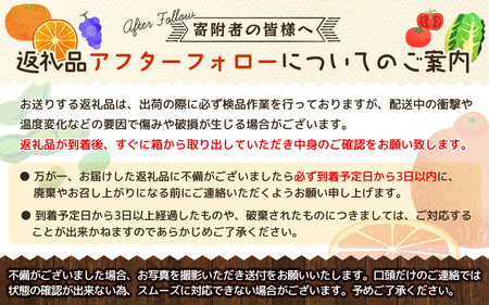 【訳あり】ちょこっと訳あり不知火デコポン 約7kg【ご家庭用】  サイズ混合　※2025年2月中旬～4月中旬に順次発送予定（お届け日指定不可）【nuk120B】