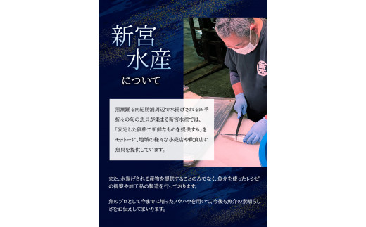  骨なし 無添加 銀シャケ切身と塩さばのセット！合計24枚 / サケ 鮭 シャケ サバ 塩サバ 冷凍 おかず 魚 お魚 魚介 海鮮 安心 人気 大容量 小分け ごはんのお供 ふっくら やわらか 美味しい 焼き魚【nss505C】