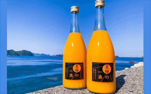 【無添加】田村みかんの新鮮100％ジュース「至極の一滴」720ml×3本入り