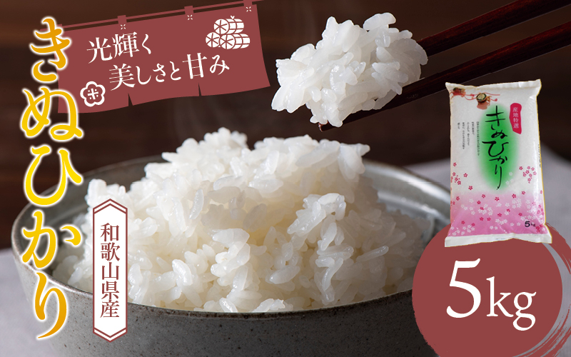 和歌山県産 キヌヒカリ 5kg(2024年産)  産地直送 米 こめ ご飯 ごはん 【sml101】