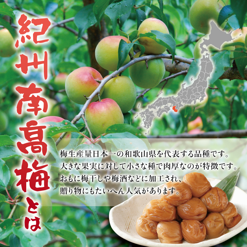 紀州南高梅 つぶれ梅 かつお【ハチミツ入】塩分10%（500g）なかやまさんちの梅干 梅干し 梅干 梅 うめ ウメ