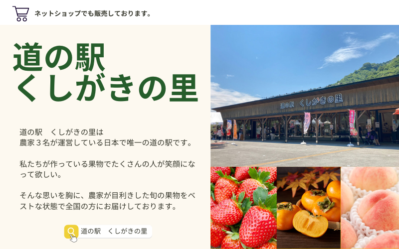 【先行予約】【数量わずか】あふれる果汁！ 希少な紅はっさく 秀品 5kg L～２L 2025年1月初旬～2025年3月末頃に順次発送予定（お届け日指定不可）/ ハッサク 八朔 紅八朔 紅はっさく フルーツ 柑橘 蜜柑 果物 くだもの