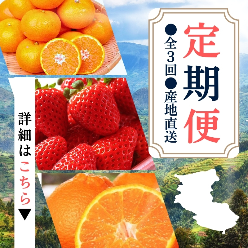 【定期便】●全3回● 産地直送 定期便【温州みかん・まりひめ・紀州デコ】 / フルーツ 果物 みかん いちご  旬 定期便  【tkb352】