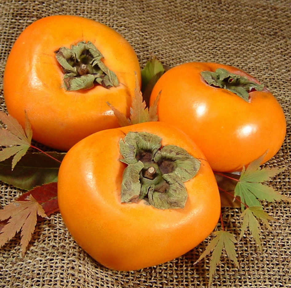 和歌山の 種なし 柿 約7.5kg【秀品：サイズ・品種おまかせ】和歌山県産/紀伊国屋文左衛門本舗　※2026年9月下旬～2026年11月下旬頃に順次発送予定(お届け日指定不可)【kstb801B】