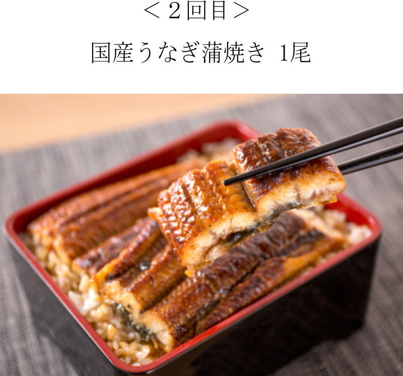 【全4回】困った時の1品に！＼晩ご飯直行／絶品おかず定期便（さば・鰻・サケ・海鮮丼）