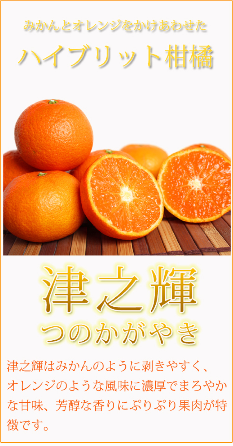 津之輝(つのかがやき)　5kg【予約】※2025年2月上旬頃～下旬頃に順次発送予定(お届け日指定不可) 