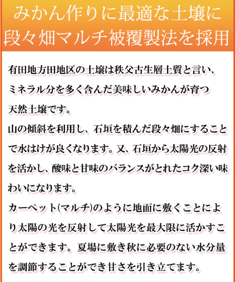 【ご家庭用訳あり】田村みかん　5kg　