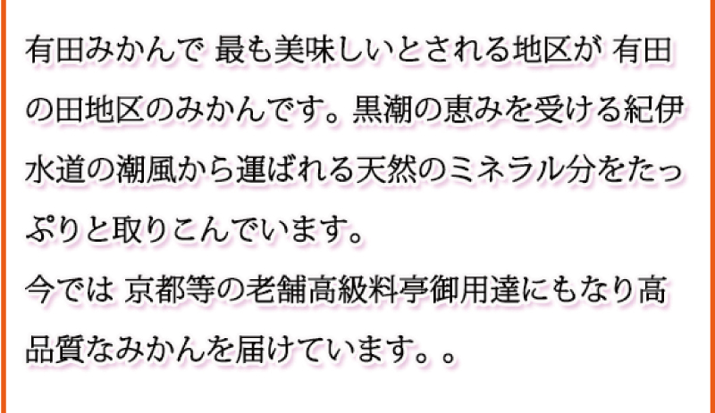 【ご家庭用訳あり】田村みかん　5kg　