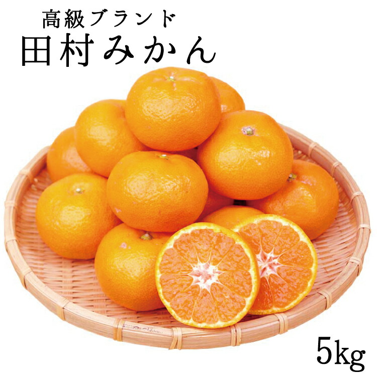 高級ブランド 田村みかん 5kg【予約】※2024年11月下旬頃～2025年1月下旬頃に順次発送予定(お届け日指定不可)/みかん ミカン 有田みかん ブランドみかん 柑橘 果物 フルーツ 旬 先行 予約