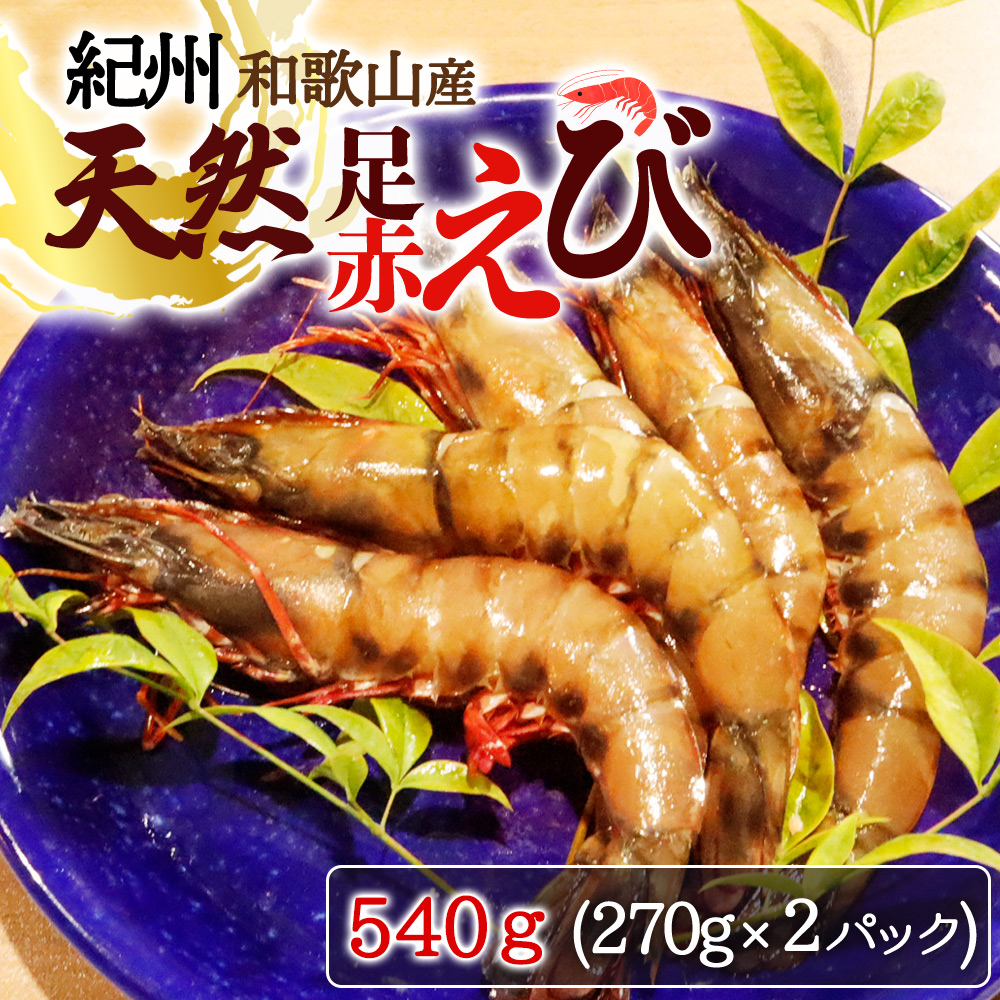 紀州和歌山産天然足赤えび540g（270g×2パック）化粧箱入 ※2025年11月末頃～2026年1月下旬頃順次発送予定（お届け日指定不可）／海老 エビ えび クマエビ 足赤 天然 おかず【uot772A】