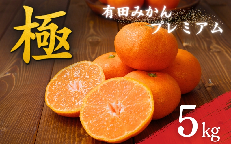 極 有田みかんプレミアム 5kg【光センサー 高糖度選別品】2S～Mの小玉サイズ　※2024年11月下旬～12月下旬頃発送   先行予約 みかん 温州みかん ミカン 小粒 【nuk155C】