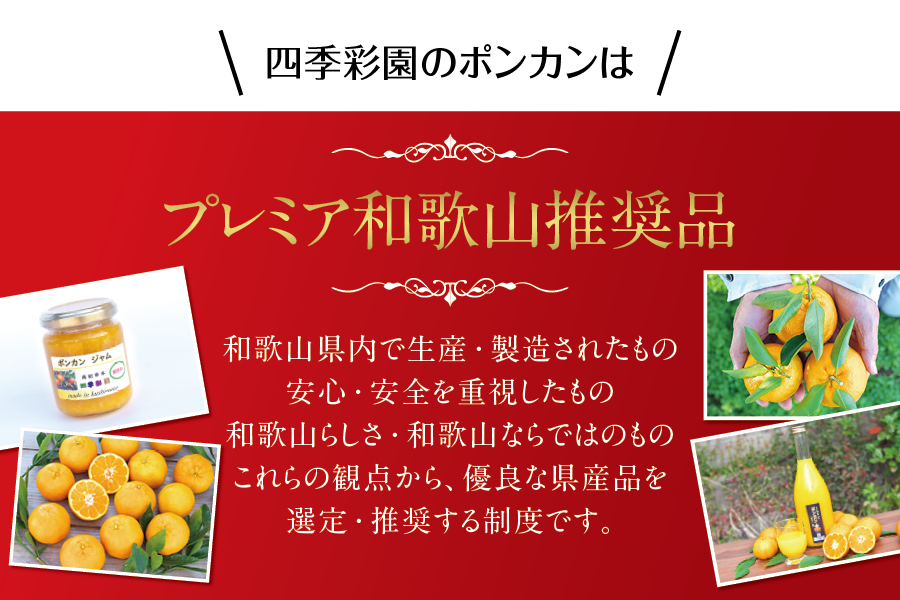 濃厚な甘さ！くしもとポンカン L～2Lサイズ 10kg  【2025年1月上旬～2月上旬柑橘 ぽんかん フルーツ みかん ミカン オレンジ 限定 有機率100%肥料 節減対象農薬不使用 化学肥料不使用【sse101】