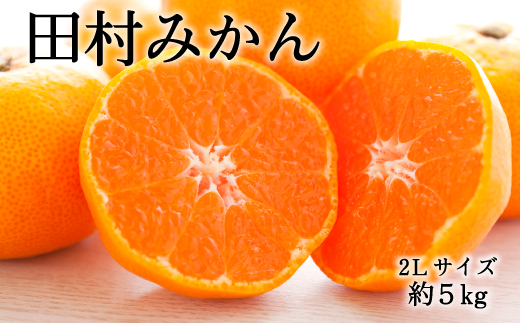 【ブランドみかん】田村みかん約5kg（2Lサイズ・秀品）【2024年11月下旬～12月下旬頃に順次発送】