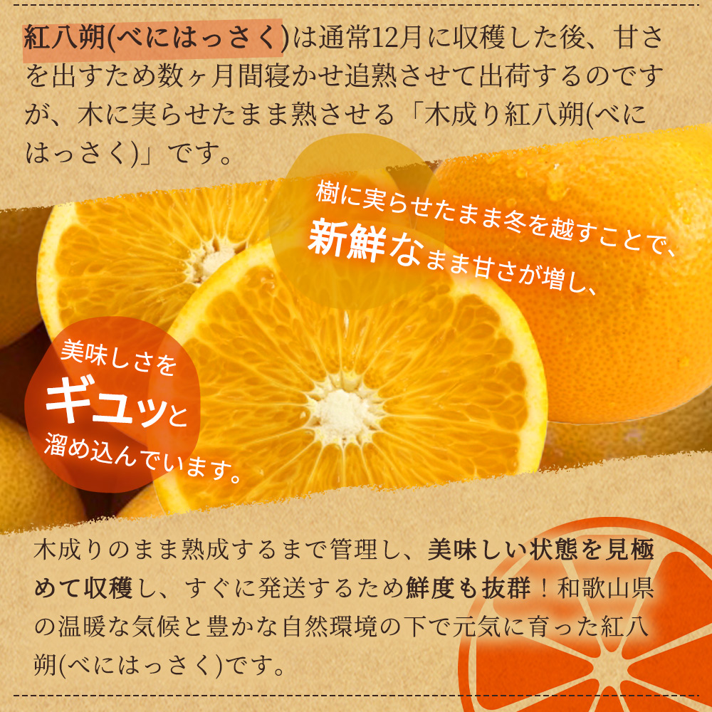 【先行予約】紀州有田産木成り完熟紅八朔８kg ※2025年2月下旬頃〜2025年3月下旬頃に順次発送予定（お届け日指定不可）/ みかん 不知火 和歌山 フルーツ 有田