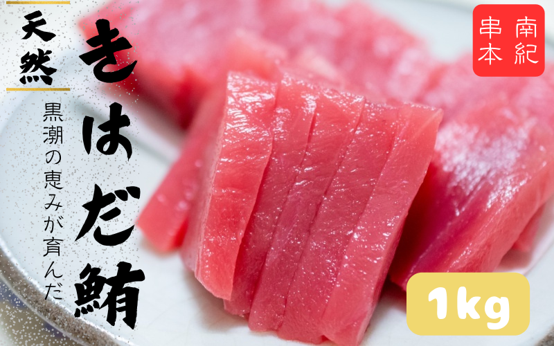 和歌山県産 天然 キハダマグロ 約1kg / まぐろ 鮪 キハダマグロ 海鮮 魚貝 魚　【tcr003A】