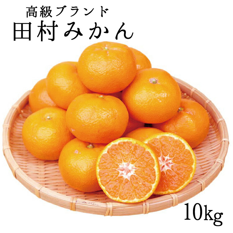 高級ブランド 田村みかん 10kg【予約】※2024年11月下旬頃～2025年1月下旬頃に順次発送予定(お届け日指定不可)/みかん ミカン 有田みかん ブランドみかん 柑橘 果物 フルーツ 旬 先行 予約