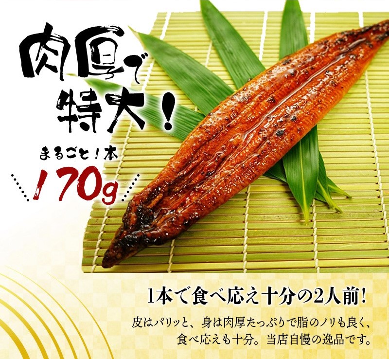 【全3回定期便】大型サイズ ふっくら柔らか 国産うなぎ蒲焼き 2尾×3回 計6尾 約1020g /  うなぎ ウナギ 鰻 国産 蒲焼 蒲焼き たれ 人気 定期便 ふるさと納税