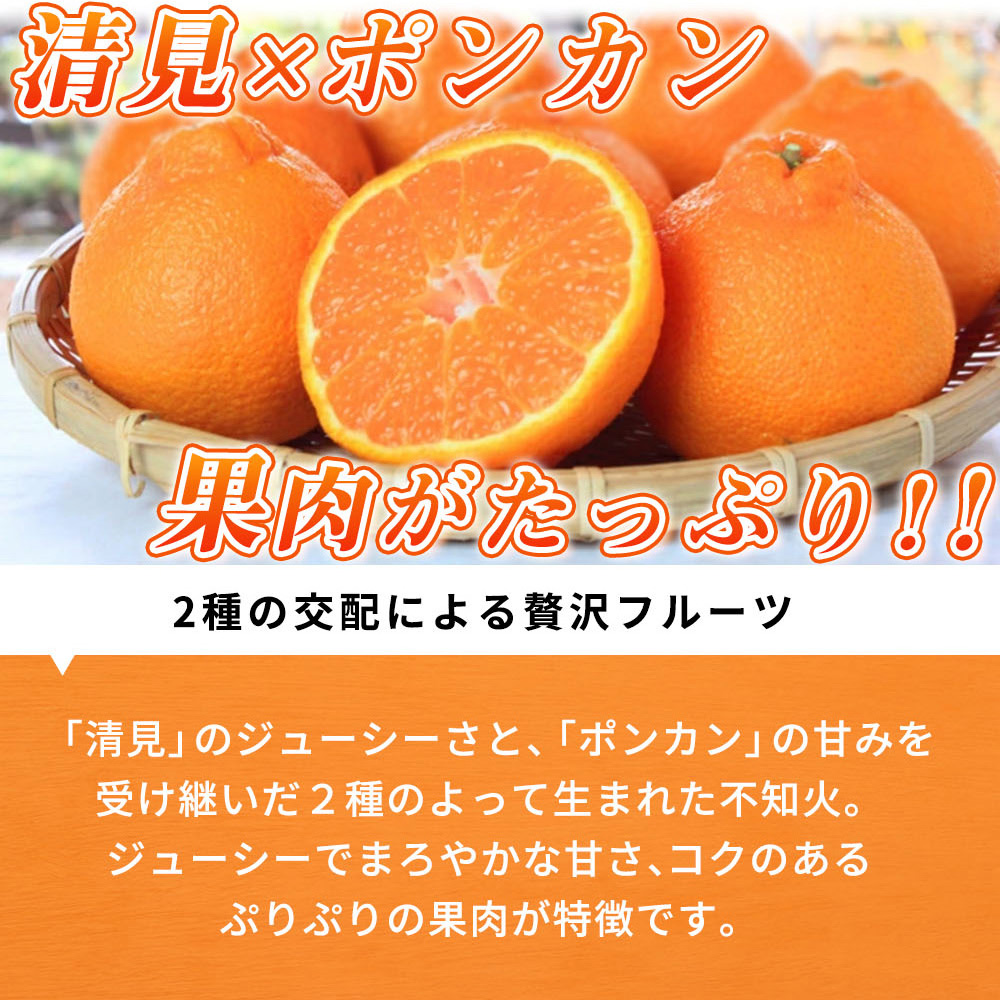 【先行予約】紀州有田産不知火(しらぬひ) 2.5kg ※2025年2月中旬頃〜3月中旬頃に順次発送予定（お届け日指定不可）/ みかん 不知火 和歌山 フルーツ 有田