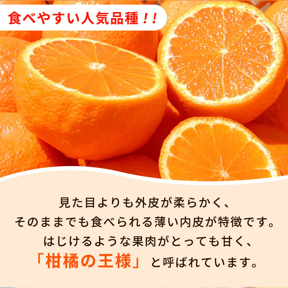 【先行予約】紀州有田産不知火(しらぬひ) 2.5kg ※2025年2月中旬頃〜3月中旬頃に順次発送予定（お届け日指定不可）/ みかん 不知火 和歌山 フルーツ 有田