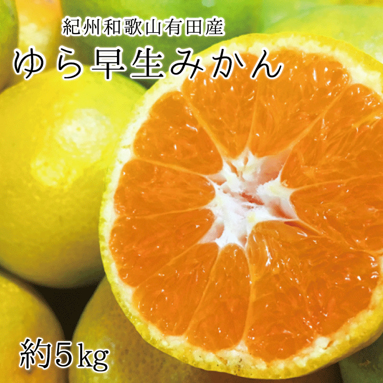 紀州和歌山 有田産 ゆら早生みかん 5kg ※2024年10月中旬頃〜10月下旬頃順次発送（お届け日指定不可）/ みかん ミカン 蜜柑 柑橘 早生 フルーツ 果物 くだもの 和歌山