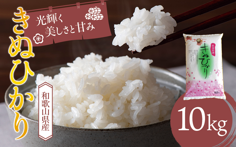 和歌山県産 キヌヒカリ 10kg(2024年産)  産地直送 米 こめ ご飯 ごはん  【sml100A】