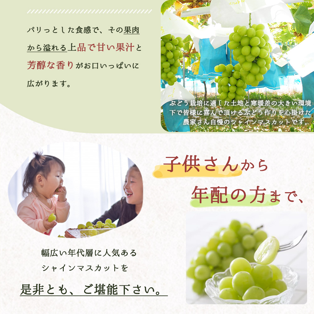 çŽå·åæå±±ç£ ã·ã£ã€ã³ãã¹ã«ãã çŽ1kg â»2026幎8æäžæ¬é ã2026幎9æäžæ¬é ã«é 次çºé â»æ¥ä»æå®äžå¯ ã¶ã©ã ãã㊠è¡è ãã¹ã«ãã æç© ãã ãã® ãã«ãŒã 人æ°ãuot782ã