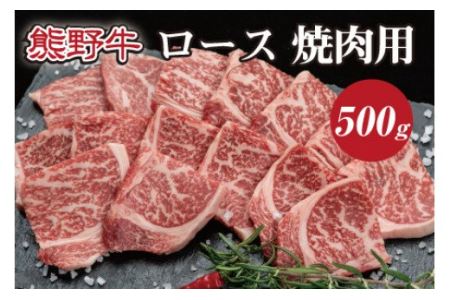 特選黒毛和牛 熊野牛 焼肉用ロース　約500g【mtf410A】