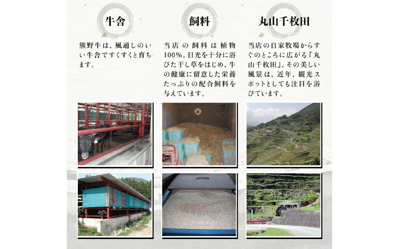 希少和牛 熊野牛すき焼きセット　ロース300g　特上モモ300g＜冷蔵＞ すき焼き しゃぶしゃぶ 牛肉【sim115A】