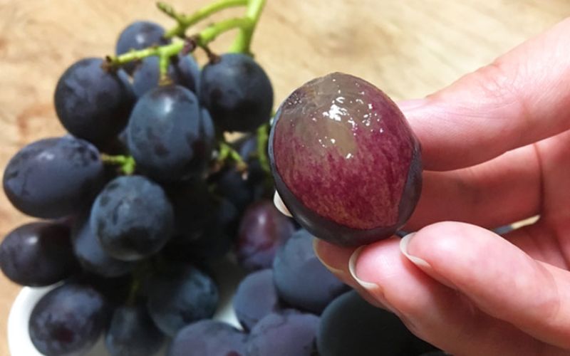 çŽå·æç°ç£ ãã©ãã¯ãªãªã³ãã¢(ããããã¶ã©ã) çŽ2kg â»2026幎8æäžæ¬é ã2026幎9æäžæ¬é ã«é 次çºéäºå® / ã¶ã©ã ãã㊠è¡è ãã«ãŒã æç© ãã ãã®ãuot005ã