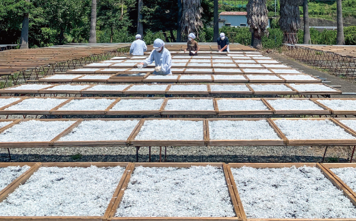 迚ケ驕ク縲驥懈恕縺偵@繧峨☆400ス縲仁ef002-1A縲