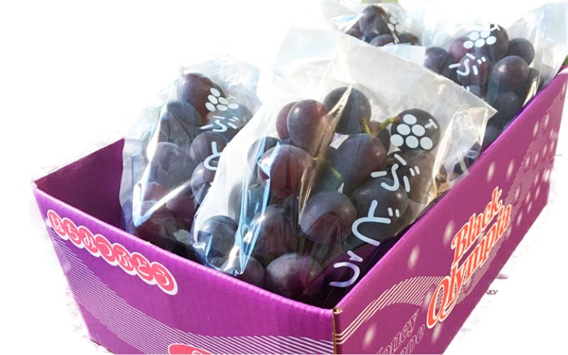 çŽå·æç°ç£ ãã©ãã¯ãªãªã³ãã¢(ããããã¶ã©ã) çŽ2kg â»2026幎8æäžæ¬é ã2026幎9æäžæ¬é ã«é 次çºéäºå® / ã¶ã©ã ãã㊠è¡è ãã«ãŒã æç© ãã ãã®ãuot005ã