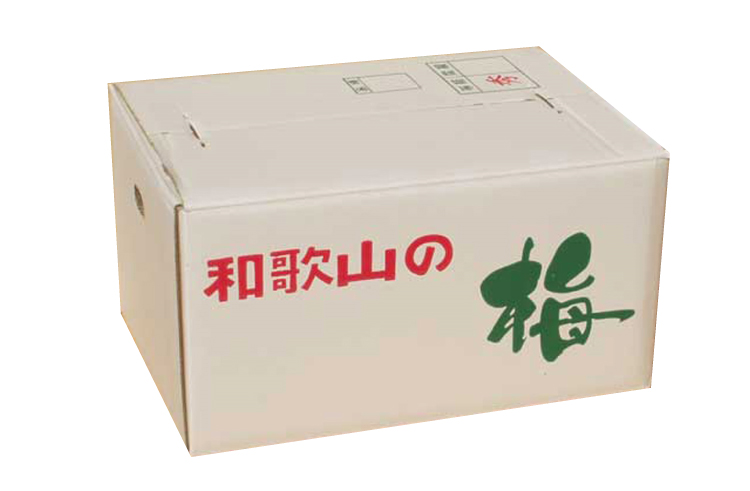 【梅干・梅酒用】（4Lまたは3L－10kg）熟南高梅＜2025年6月上旬～7月上旬ごろに順次発送予定＞【art007A】