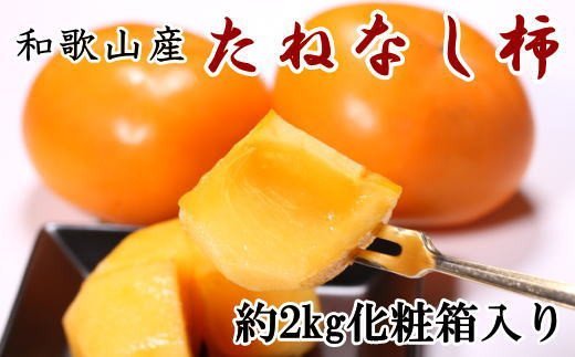 【秋の味覚】和歌山産のたねなし柿2L～4Lサイズ約2kg（化粧箱入り）※2024年10月上旬～2024年11月上旬頃順次発送