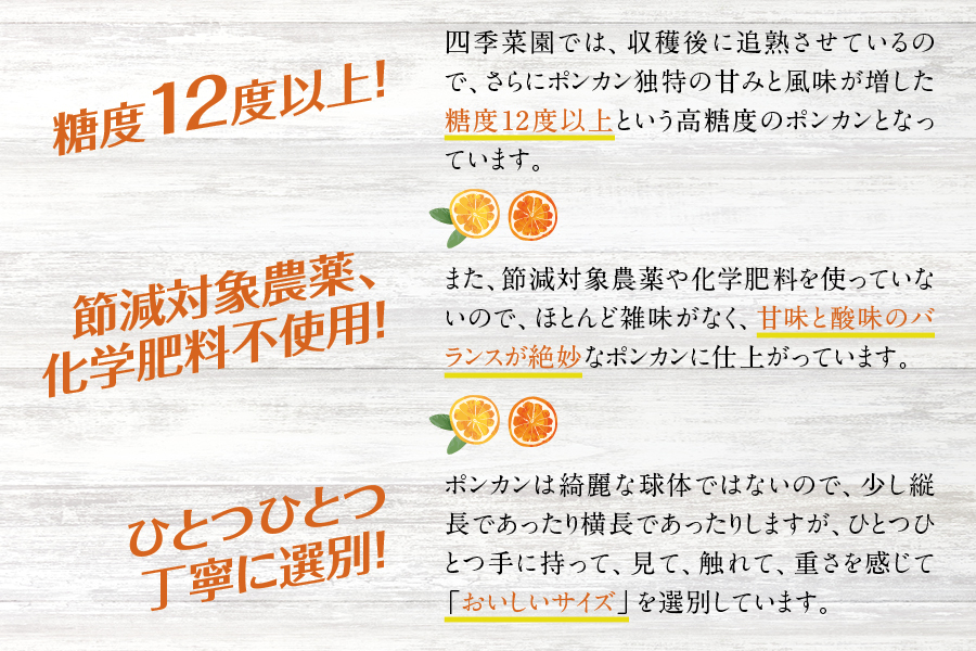 濃厚な甘さ！くしもとポンカン L～2Lサイズ 10kg  【2025年1月上旬～2月上旬柑橘 ぽんかん フルーツ みかん ミカン オレンジ 限定 有機率100%肥料 節減対象農薬不使用 化学肥料不使用【sse101】