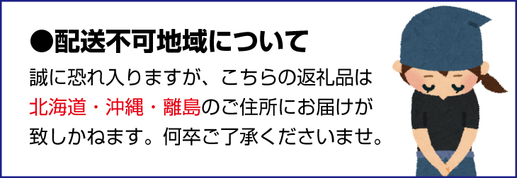 【11月発送】農園直送!完熟有田みかん 約10kg+200g【サイズ混合】 | 予約 和歌山 有田みかん みかん【ard004D-11】