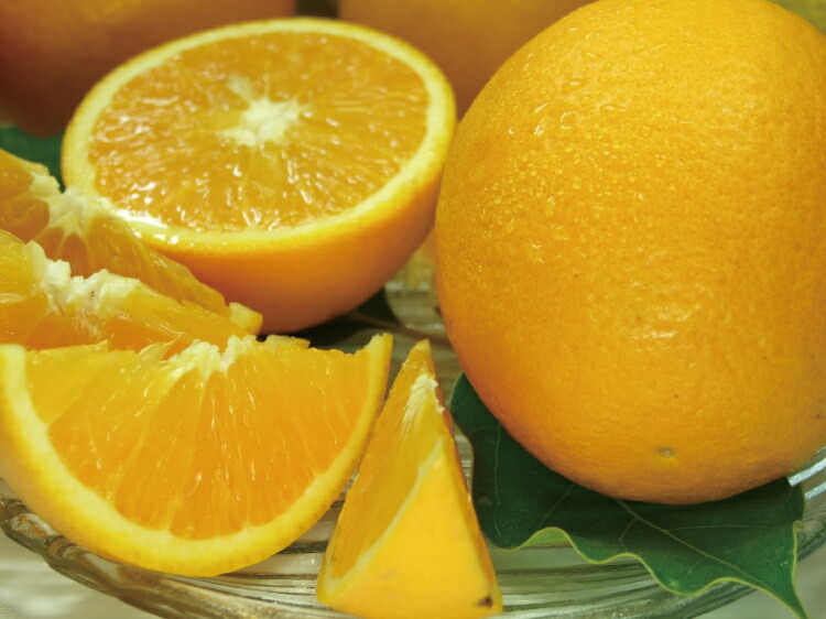 バレンシアオレンジ[約5kg]湯浅町田村産春みかん春かんきつ(無選別・果実サイズ混合)　※2026年6月中旬～7月下旬頃に順次発送【kstb491B】