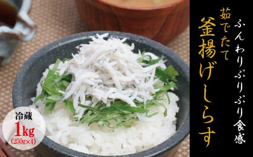 茹でたて釜揚げしらす　1kg(250g×4パック)【冷蔵】 無添加・無着色 しらす シラス 釜揚げ 小分け 冷蔵【mar101A】