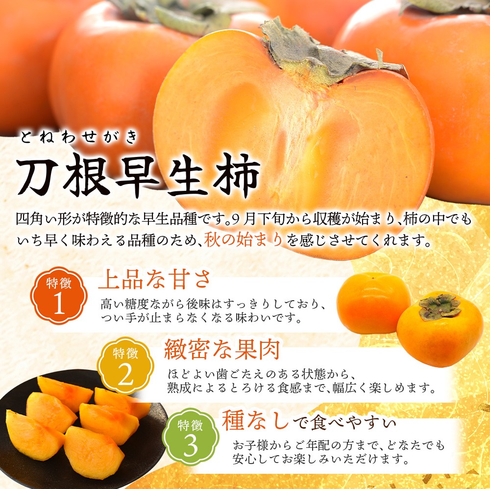 ãå
è¡äºçŽãçš®ç¡ãæ¿ åæ ¹æ©çæ¿ ç§å倧ç çŽ1.8kgïŒ6åïŒ 2026幎9ææ«é ïœ10ææ«é ã«é 次çºéäºå®ïŒãå±ãæ¥æå®äžå¯ïŒ/ æ¿ ãã çš®ç¡ã ç§å 倧ç ãã«ãŒã æç© ãã ãã®ãkiy002Aã