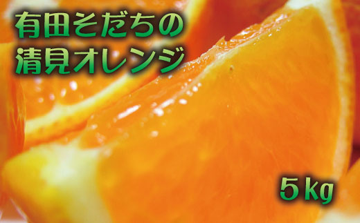 有田育ちの完熟清見オレンジ(ご家庭用)　約5kg+200g(補償分)【2027年2月下旬～5月上旬頃に順次発送予定】【ard017C】
