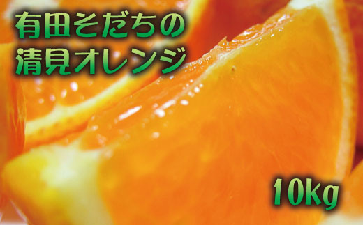 有田育ちの清見オレンジ(ご家庭用)　約10kg+200g(補償分)【2027年2月下旬～5月上旬頃に順次発送予定】【ard019C】