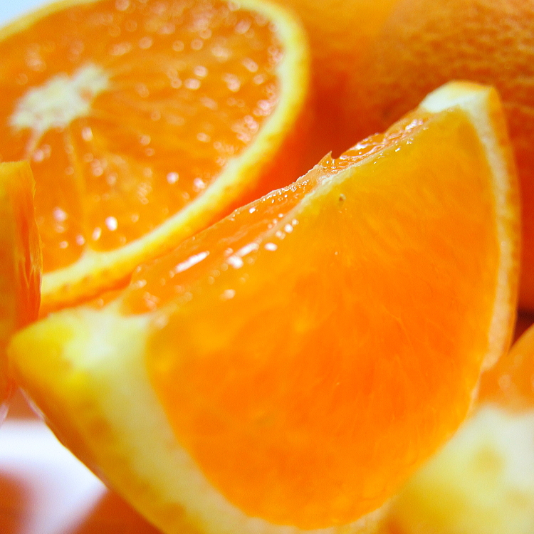 有田育ちの完熟清見オレンジ(ご家庭用)　約1kg+200g(補償分)【2027年2月下旬～5月上旬頃に順次発送予定】【ard241】