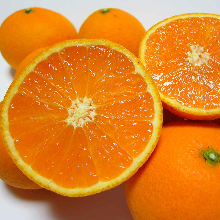 æç°è²ã¡ã®å®çæž
èŠãªã¬ã³ãž(ãå®¶åºçš)ãçŽ1kg+200g(è£åå)ã2027幎2æäžæ¬ïœ5æäžæ¬é ã«é 次çºéäºå®ããard241ã