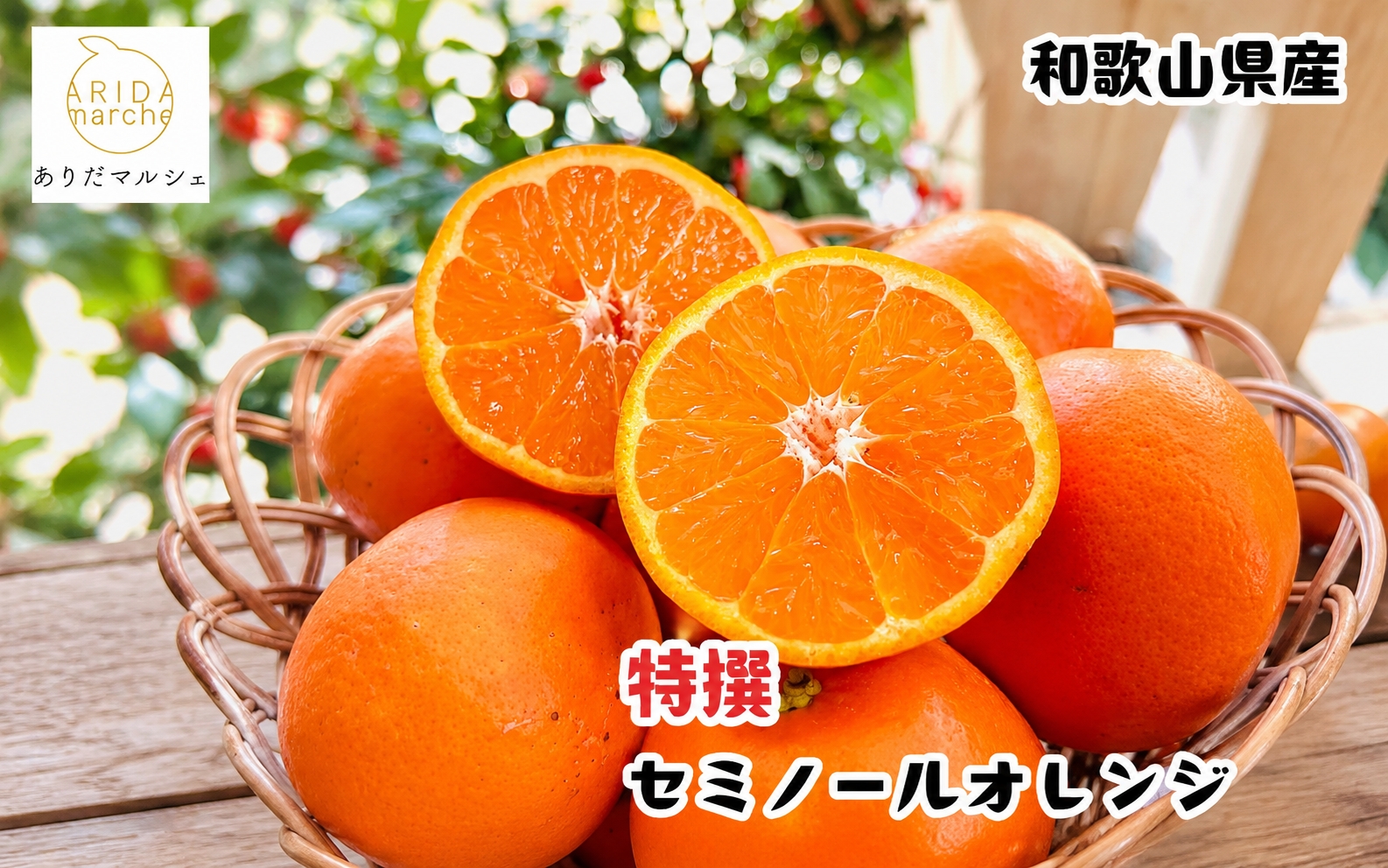 特選セミノールオレンジ3kg+200g(補償分)【2027年4月上旬～5月下旬頃に順次発送予定】【ard802A】