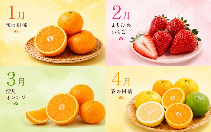 【旬のくだもの定期便】和歌山県の旬のフルーツを毎月お届け！　全12回【Ｓ】（配送日時指定不可）※北海道・沖縄・離島への配送不可 / 定期便 フルーツ みかん いちご イチゴ セミノール 河内晩柑 すいか 桃 柿 ジュース 12回 【ard-tkb901A】