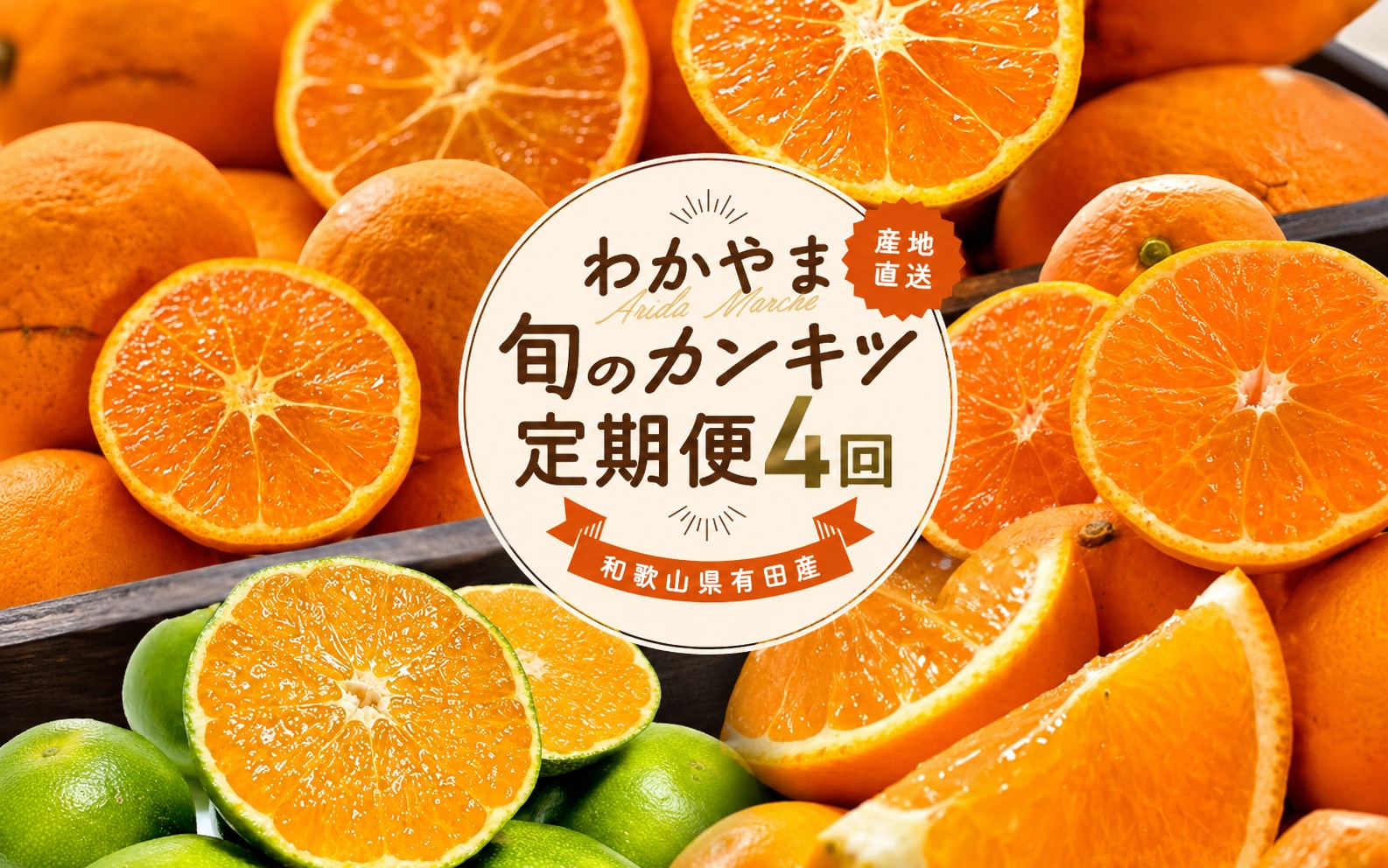 【全4回】和歌山旬のカンキツ定期便【L】3・5・9・11月発送（ご家庭用）※北海道・沖縄県・離島への配送不可 / 春の柑橘 初夏の柑橘 青切り 有田みかん 完熟有田みかん フルーツ くだもの 果物【ard-tkb907】